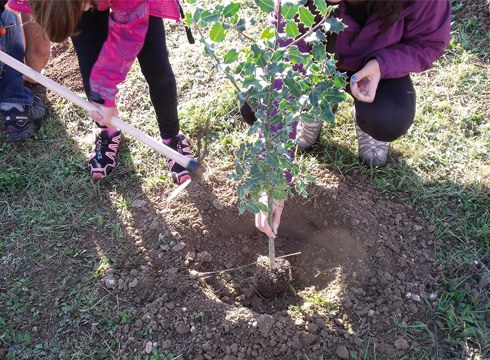 Zuhaitz Eguna ospatuko da domekan Usartzan lau motatako 40 zuhaitz landatuta: lizarra, haritza, gorostia eta urkia