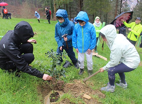 Domekan 40 zuhaitz landatuko dira Iturburu parean Zuhaitz Eguna ospatzeko