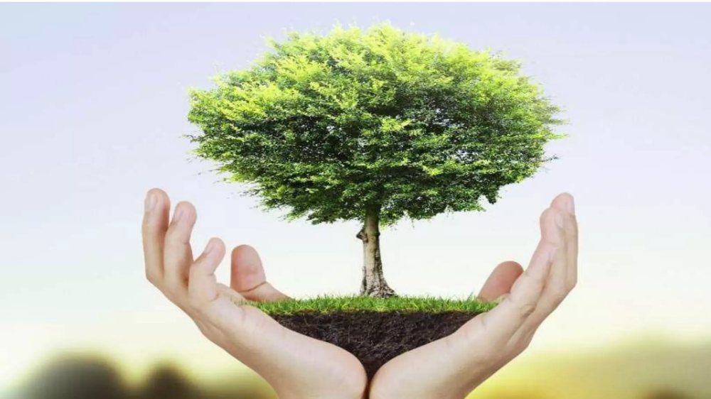 Zuhaitz Eguna ospatuko dute martxoaren 8an Eibarren, 500 zuhaitz eta zuhaixka autoktono landatuta