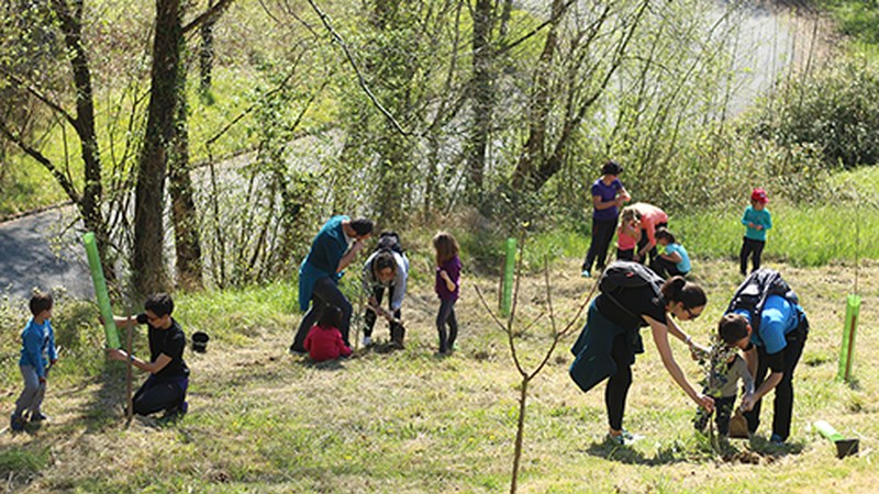 Zuhaitz Egunarekin bat egin zuten familiek 40 zuhaitz landatu zituzten atzo Eztiagan
