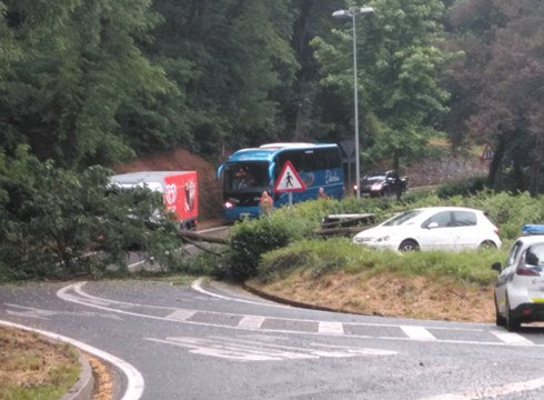 Zuhaitz bat auto batzuren gainera erori da arratsaldean Arrateko bidean