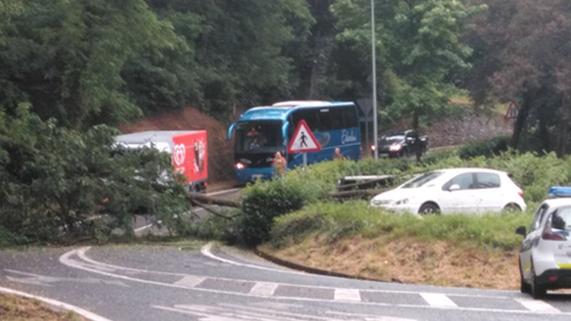 Zuhaitz bat auto batzuren gainera erori da arratsaldean Arrateko bidean