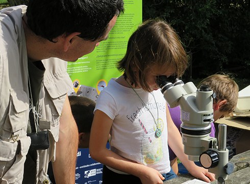 Zumaiako Santiago hondartzako biodibertsitatea ezagutzera emateko topaketa egingo da domekan
