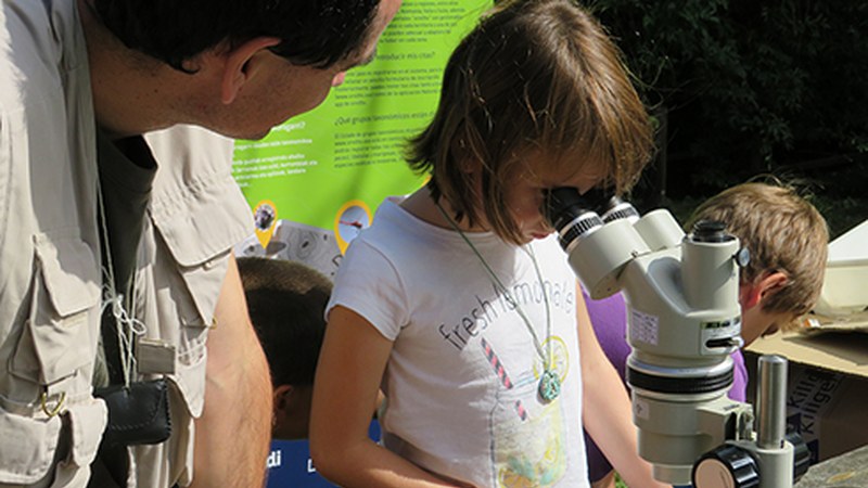 Zumaiako Santiago hondartzako biodibertsitatea ezagutzera emateko topaketa egingo da domekan