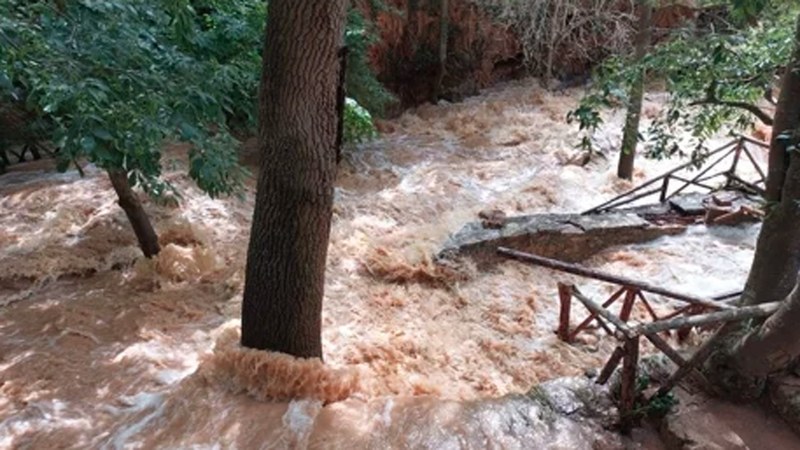 Uztailak 16